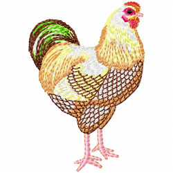 Chickens And Roosters Embroidery Design 5 Chickens And Roosters Embroidery Design 5